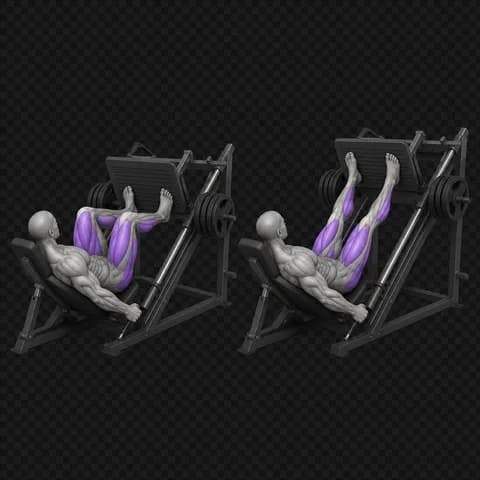 Beinpress